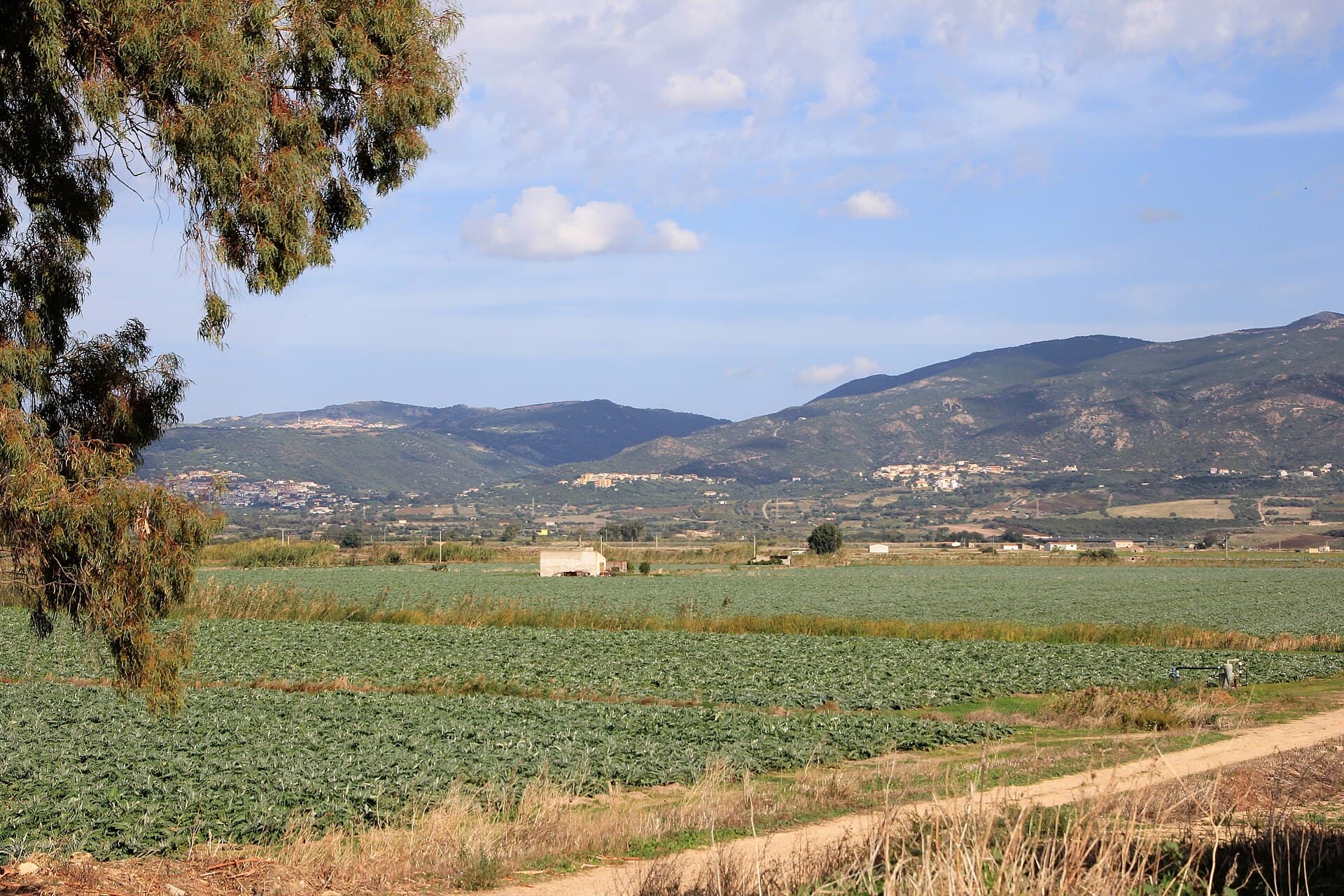 The quiet architecture of San Pantaleo