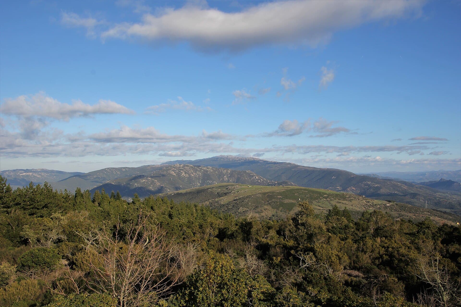 Why Sardinian stone still defines modern homes