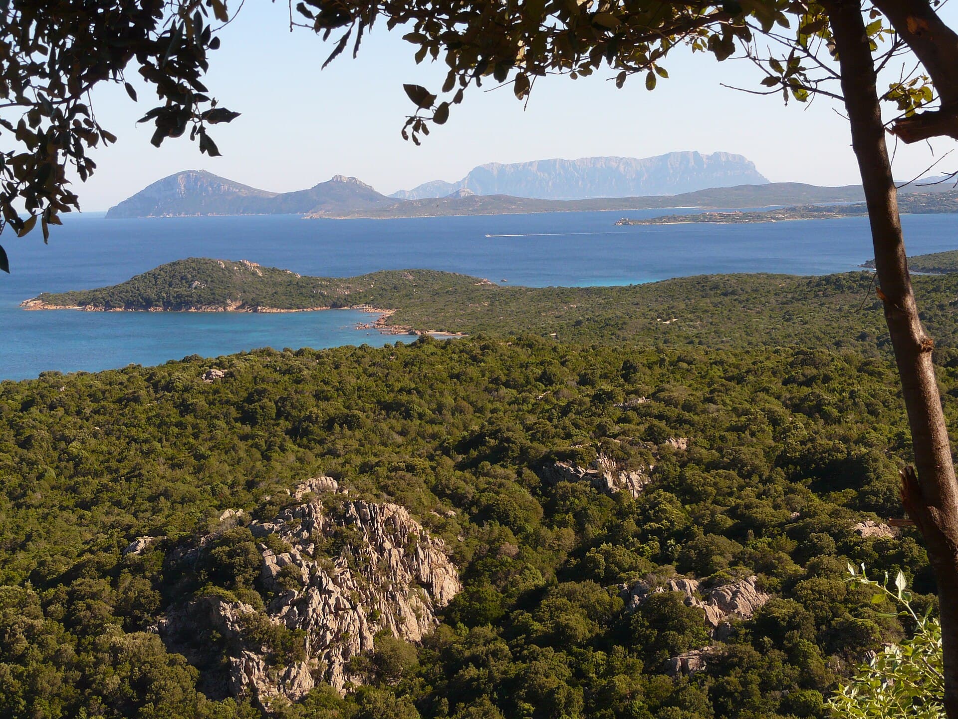 Maquis and coves of the Costa Smeralda.